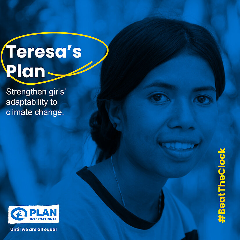 Graphic: Teresa's Plan
